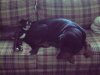 DSC00828.JPG
